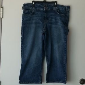 Paris Blues size 18/22 crops